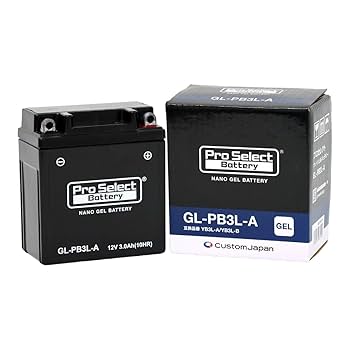 【15P】ION Pro【新品未使用】 Amazon.co.jp: ProSelect(プロセレクト) バイク GL-PB3L-A ナノ